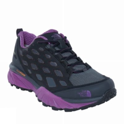 The North Face Womens Endurus Hike GTX Shoe Phantom Grey/Wood Violet The North Face Womens Endurus Hike GTX Shoe Phantom Grey/Wood Violet